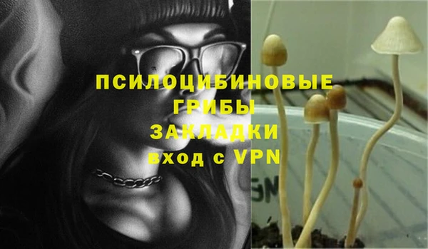прущие крисы Арсеньев