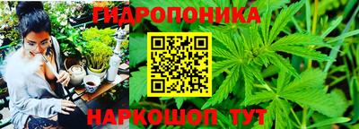 амф Можга