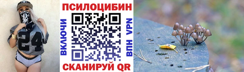 Псилоцибиновые грибы MAGIC MUSHROOMS  где купить наркотик  Барабинск 