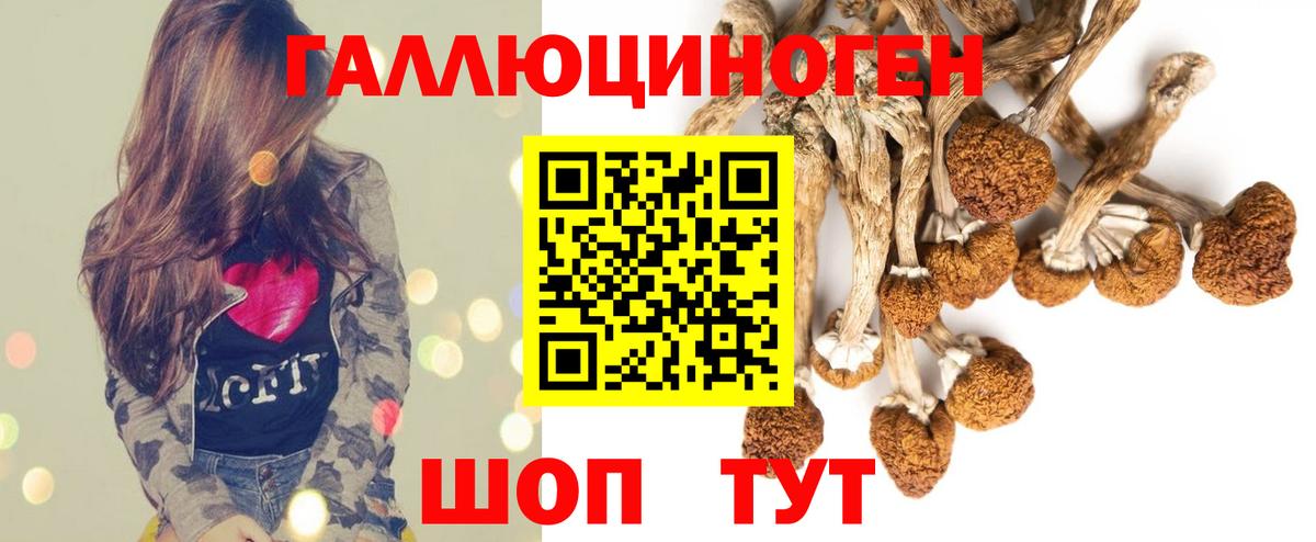 Псилоцибиновые грибы GOLDEN TEACHER Барабинск