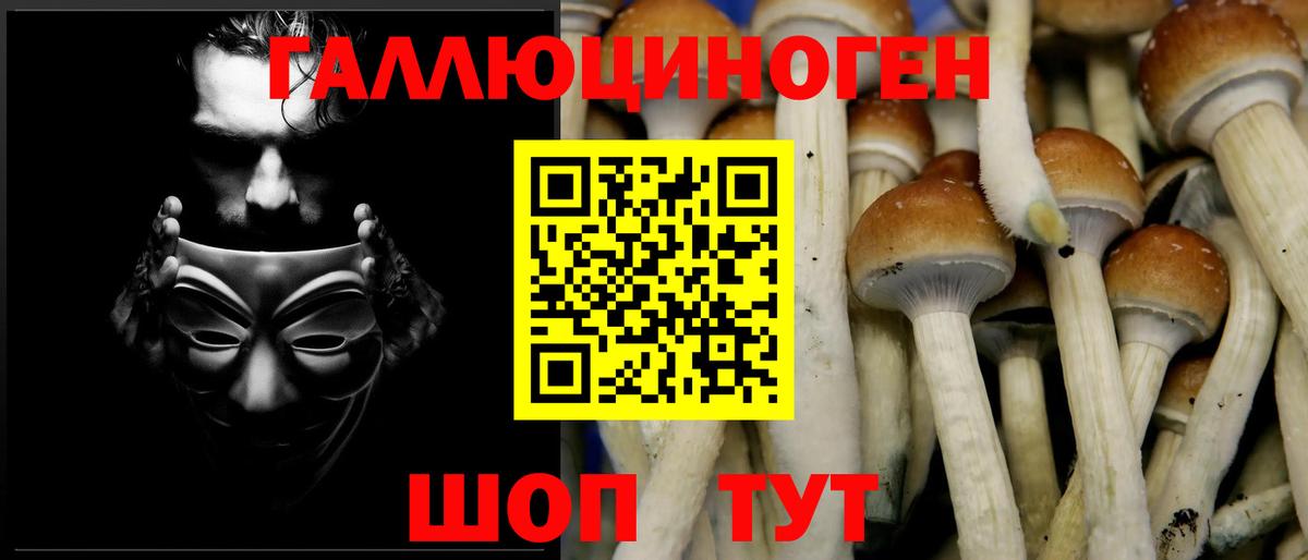 Псилоцибиновые грибы GOLDEN TEACHER  Вход с VPN  Барабинск 